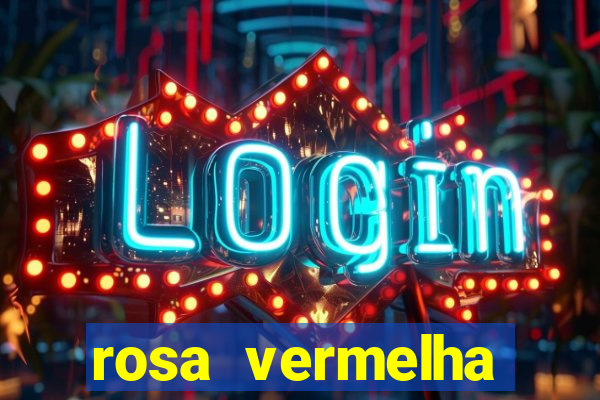 rosa vermelha (letra e cifra)